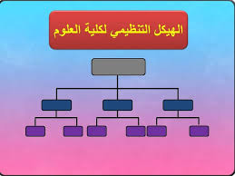 Organizational Structure