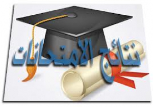 ورشة عمل عن إستخدام البريد الإليكترونى التعليمى بجامعة بنها
