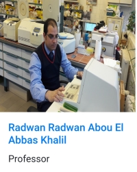 الاستاذ الدكتور رضوان رضوان ابو العباس وكيل الكليه لشئون خدمة المجتمع و تنمية البيئة